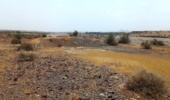 گشت حفاظتی یگان منابع طبیعی شهرستان رودان در مراتع رهدار و چاه محمود برای صیانت از پوشش گیاهی