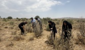 بازدید از پروژه بهرهبرداری از بذور گونههای مرتعی و جنگلی در مرتع گرداب شهرستان حاجیآباد