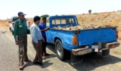 توقیف ۱۵۰ کیلوگرم چوب جنگلی غیرمجاز در شهرستان رودان