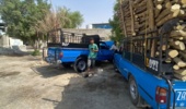 پایش مستمر برای مقابله با قاچاق چوب و محصولات فرعی جنگلی و مرتعی