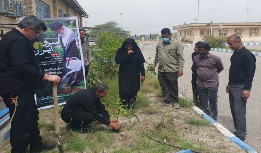 کاشت نهال همزمان با اربعین شهادت سیدشهدای مقاومت و شهدای مدرسه طیبه شجره میناب
