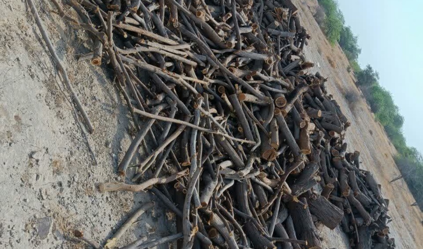 توقیف محموله چوب در شهرستان بندرعباس
