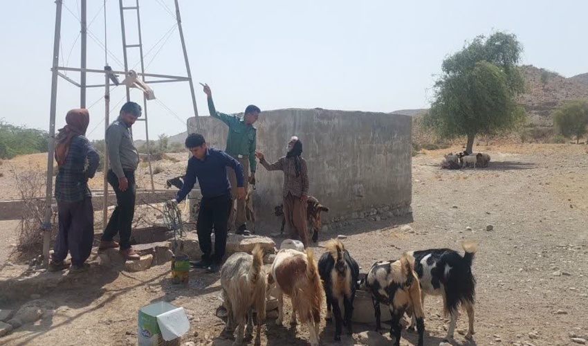 بازدید میدانی از مراتع و بررسی مشکلات دامداران شهرستان رودان