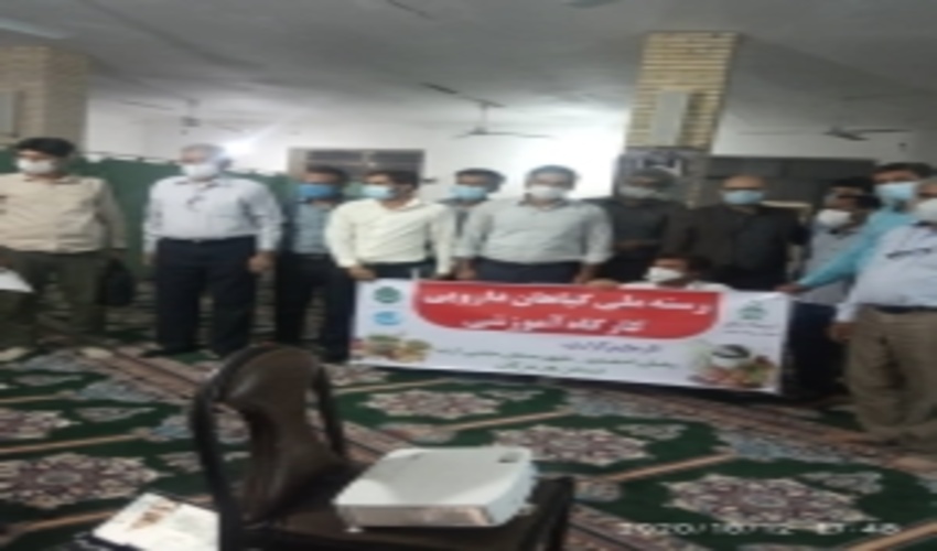 طرح کشت گیاهان دارویی در مراتع حوزه رهدار شهرستان رودان اجرا شد