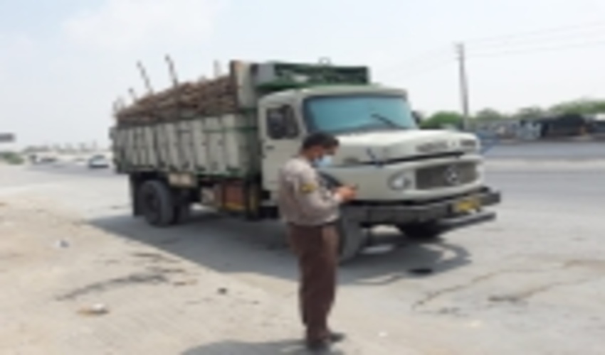 کنترل محموله های چوب در جاده های مواصلاتی شهرستان بندرعباس