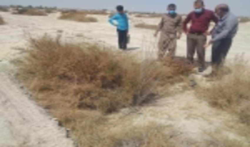 بررسی پروژه های اجرا شده بیابان در منطقه کندران – ارمک شهرستان بندرلنگه