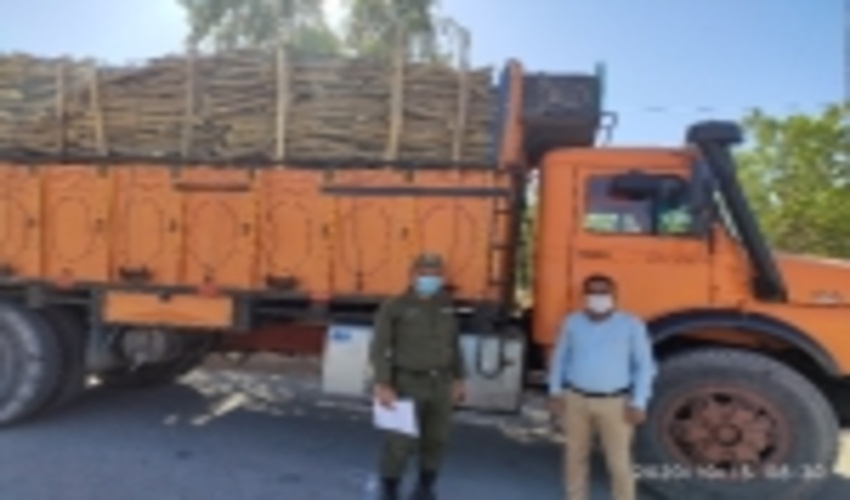 کشف 8 تن چوب بدون مجوز در محور کهورستان شهرستان بندرخمیر