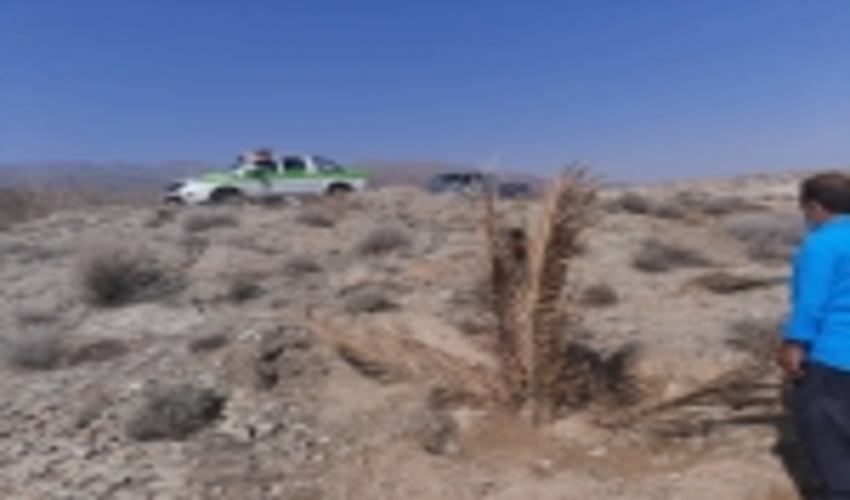 1 هکتار از اراضی دشتوئیه شهرستان حاجی آباد توقف عملیات شد