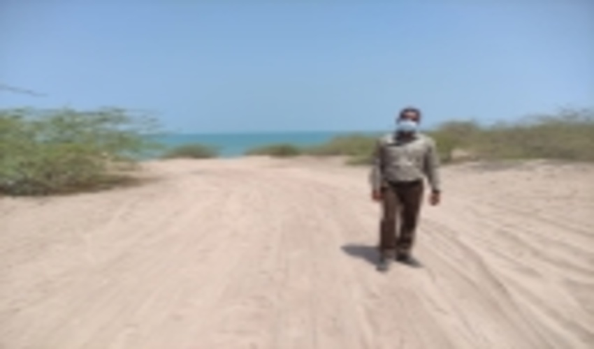 گشت و پایش  شبانه روزی حفاظت از اراضی ملی و طبیعی در جزیره هرمز   