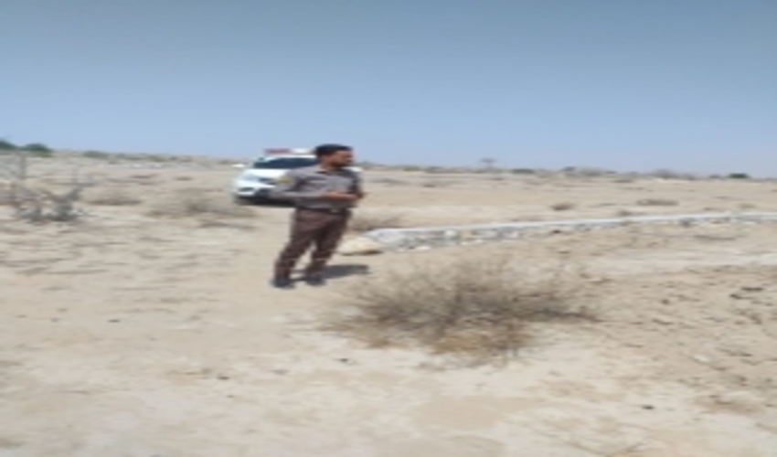 رفع تصرف اراضی ملی منطقه دمیلو در شهرستان بندرعباس 