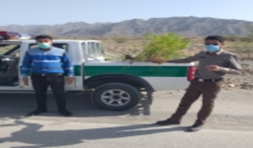 رفع تصرف اراضی ملی منطقه آبکهور در شهرستان بندرعباس 