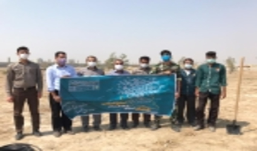 غرس نهال درمحوطه دانشگاه هرمزگان به مناسبت روز آموزش و پژوهش