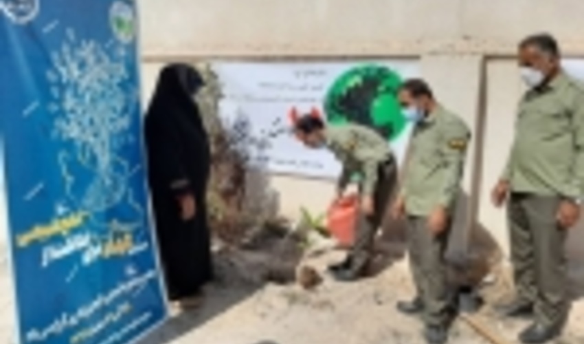  اجرای طرح هر مدرسه یک نهالستان در شهرستان پارسیان