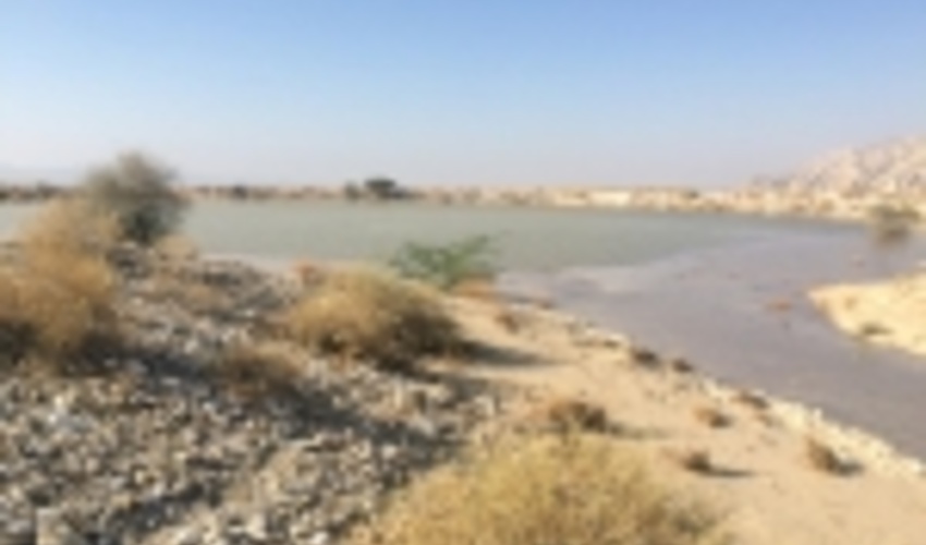 آبگیری تورکینست گزیر در اولین بارش پاییزی شهرستان بندرلنگه‎