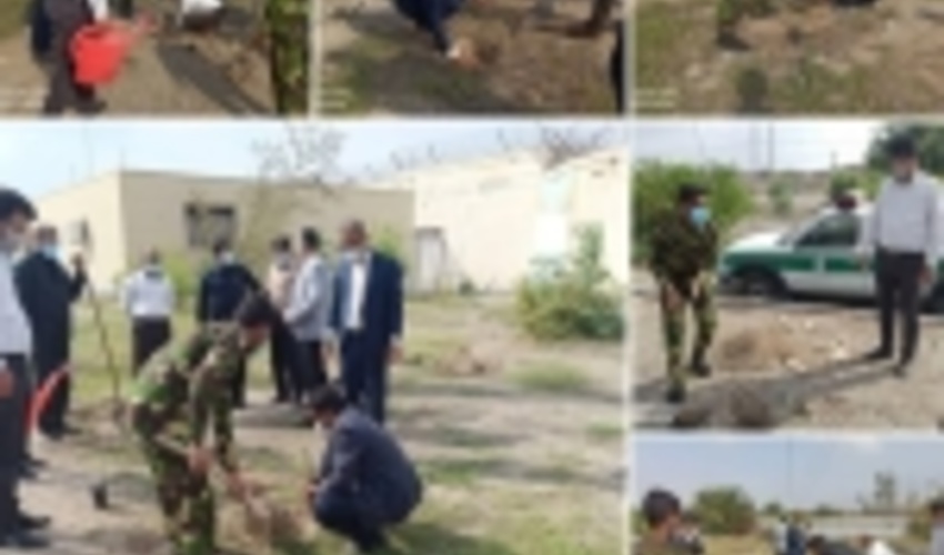 کاشت نهال به مناسبت هفته منابع طبیعی در اداره زندان شهرستان میناب