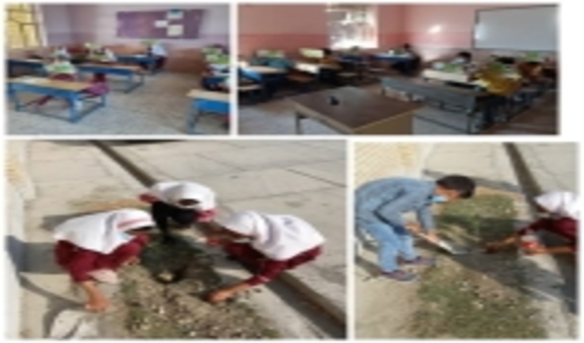 غرس نهال  توسط همیاران طبیعت  دانش آموز در شهرستان  سیریک