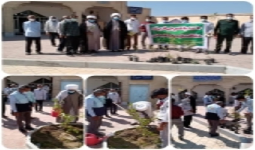 توزیع نهال بین نمازگزاران در نماز جمعه این هفته  شهرستان سیریک