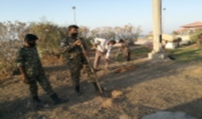 غرس 200 اصله نهال در جزیره هرمز با شعار همه با هم ، جهاد برای حفاظت از منابع طبیعی 