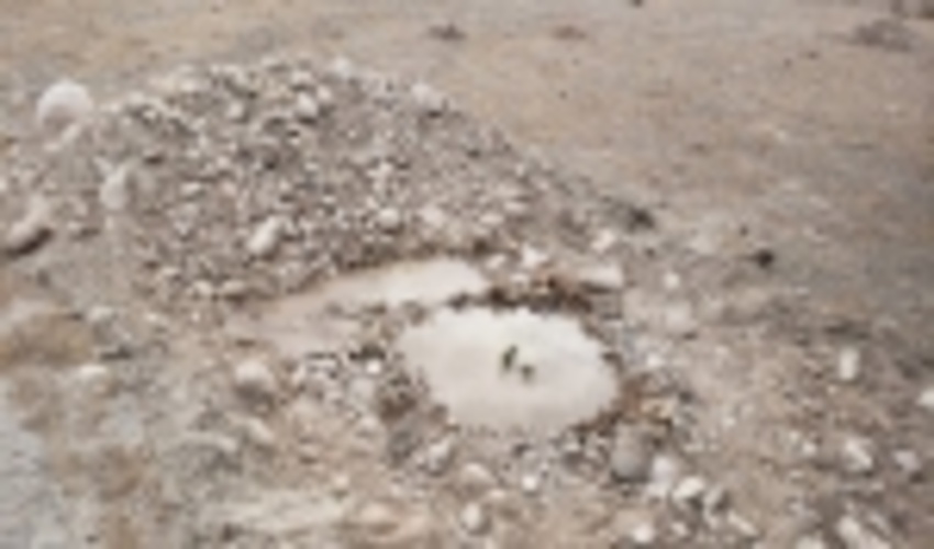 پیشرفت فیزیکی 95درصدی اجرای پروژه نهالکار آبیاری و مراقبت دشت جیحون شهرستان بندر خمیر