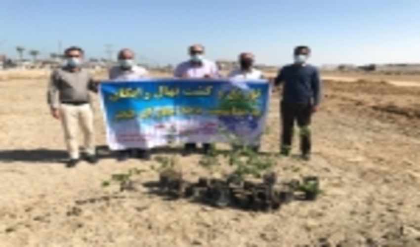 کاشت نهال در شهرستان قشم  ‎