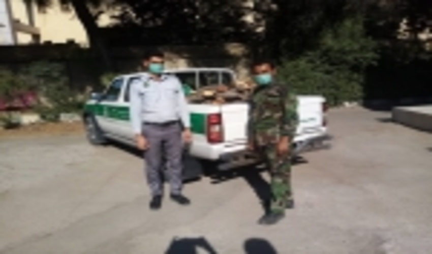 جلوگیری از قطع درختان جنگلی در شهرستان بندرعباس