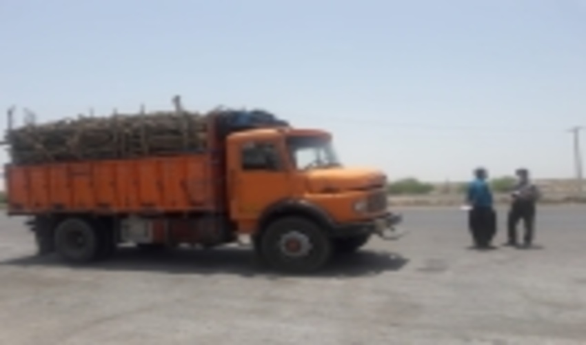 کنترل محموله های چوب در جاده های مواصلاتی شهرستان بندرعباس