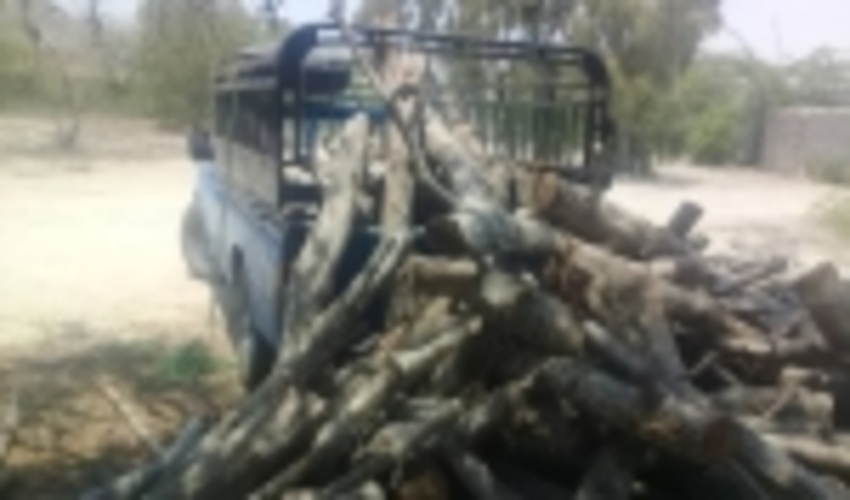 خودرو حامل چوب فاقد مجوز قانونی در شهرستان بندرلنگه توقیف شد