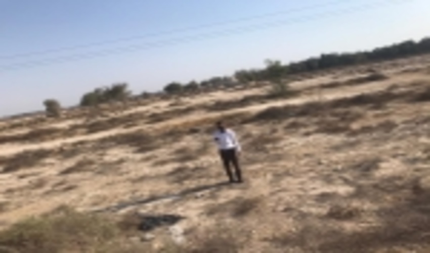 بازدید میدانی کارشناسان از اراضی ملی منطقه نخل خلفان جهت تخصیص و استعدادیابی