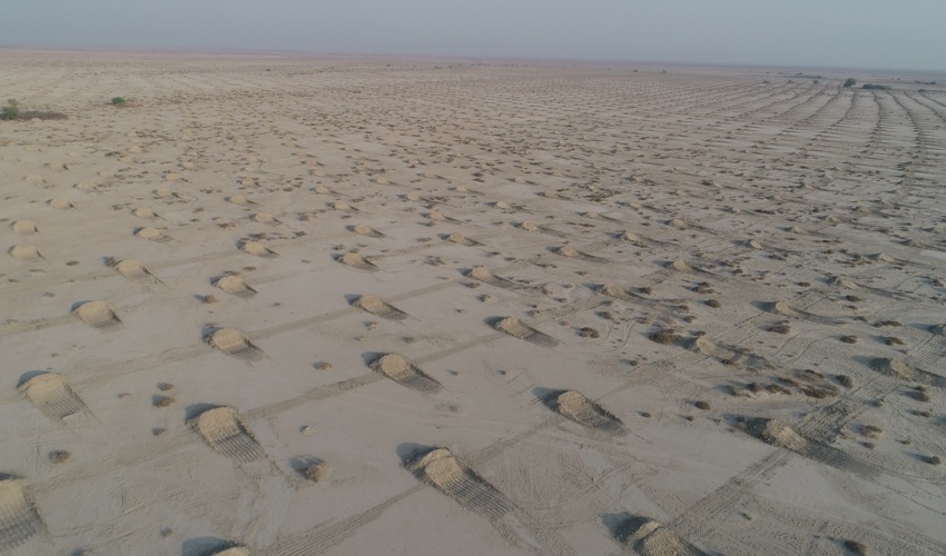 بیابان و بیابان زدایی در هرمزگان