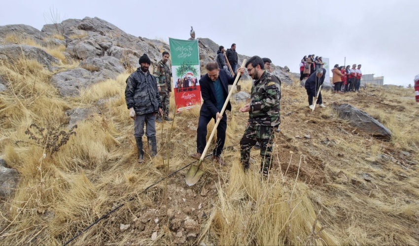 کنترل محموله های چوب در جاده های مواصلاتی شهرستان بندرعباس