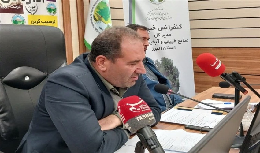 تولید مالچ طبیعی از بازیافت چوب درخت خرما