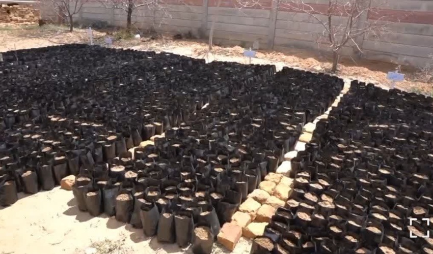 سند تک برگی منطقه  گابریک شهرستان جاسک  صادر شد.