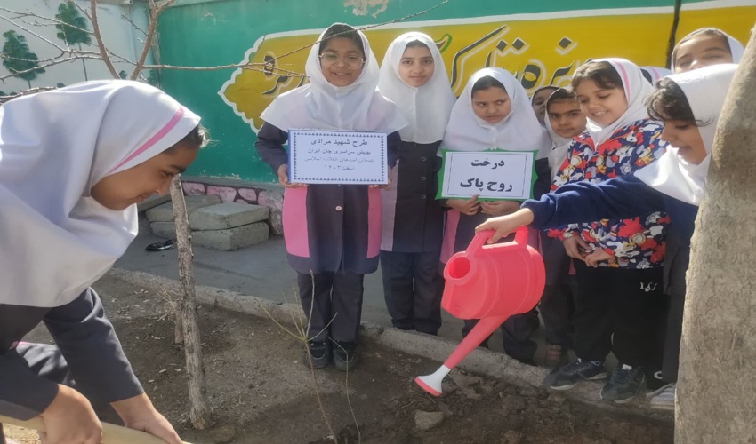عملیات آبخیزداری خطر سیلاب را تا ۶۷ درصد کاهش می‌دهد