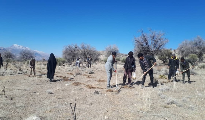 توزیع بسته های ترویجی منابع طبیعی در بین دانش آموزان همیار طبیعت قشم‎