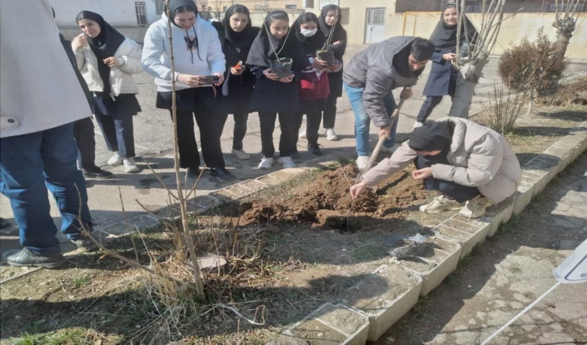 تخریب یک باب کوره ذغال سازی غیرمجاز در شهرستان بندرلنگه