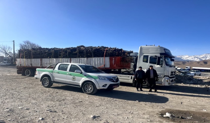   کارگاه آموزشی جنگلداری مشارکتی و تولید نهال در شهرستان سیریک برگزار شد