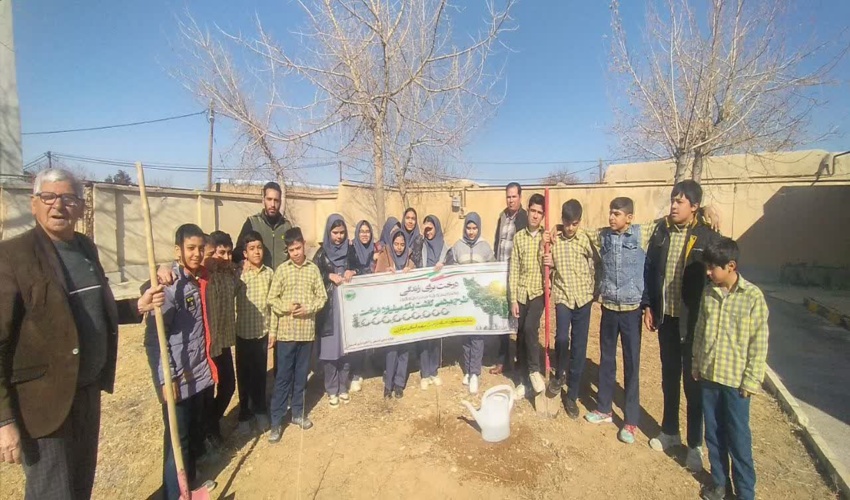 بازدید معاون سیاسی فرماندار جاسک از پروژه مالچ پاشی منطقه مشکوهی 