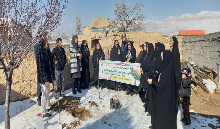 توزیع ۳۰۰ اصله نهال بین نمازگزارن نماز جمعه رودان