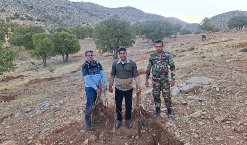 غبارروبى گلزار شهداى گمنام در شهرستان بستك