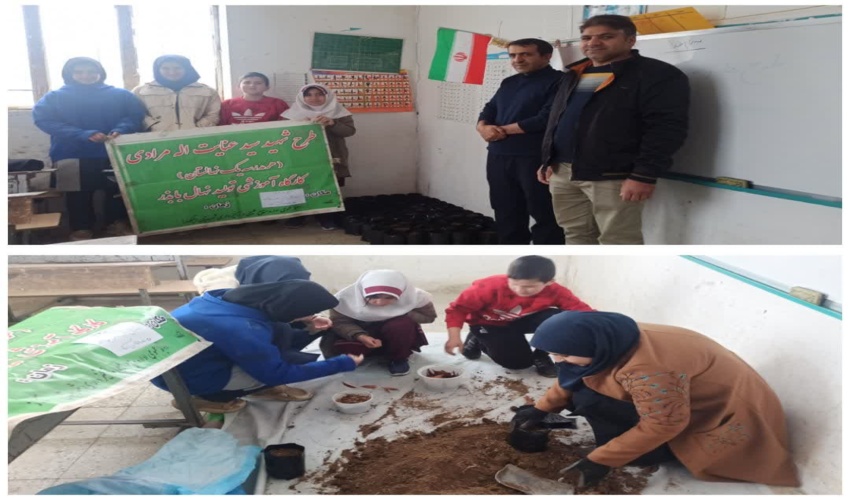 سطح شهربندرلنگه آذین بندی شد