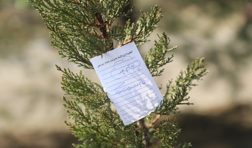 بازدید از روند اجرایی و اثرگذاری پروژه‌های آبخیزداری در بندرعباس