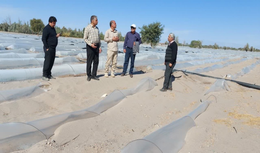 آبگیری پروژه های ذخیره نزولات (هلالی های آبگیر) منطقه چاه تر شهرستان حاجی آباد