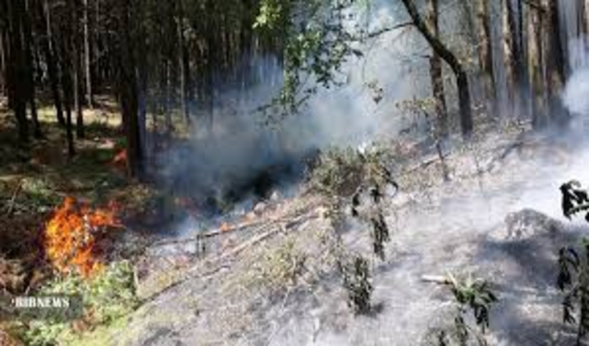 برگزاری دوره آموزشی تبدیل دیمزارهای کم بازده به علوفه  در اداره منابع طبیعی شهرستان حاجی آباد