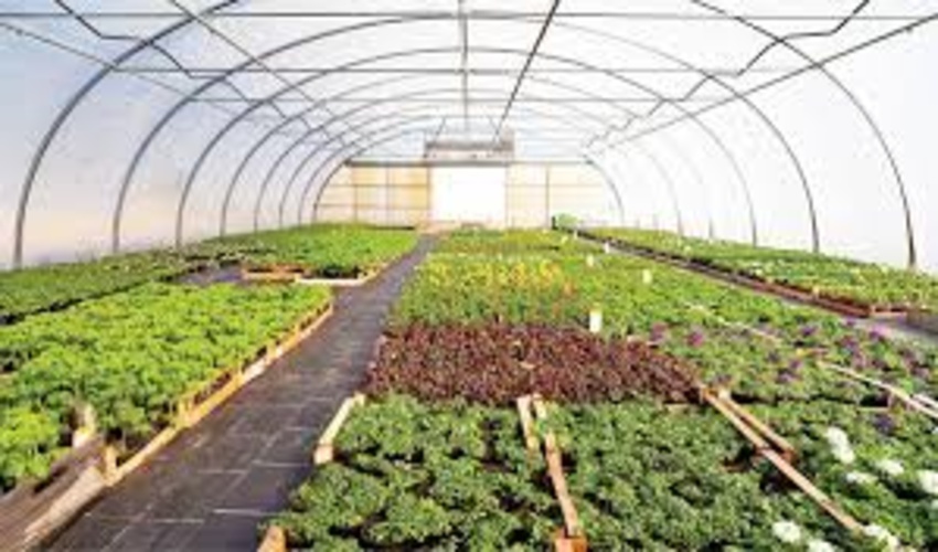 آغاز عملیات ساخت سازه آبخیزداری در شهرستان پارسیان‎