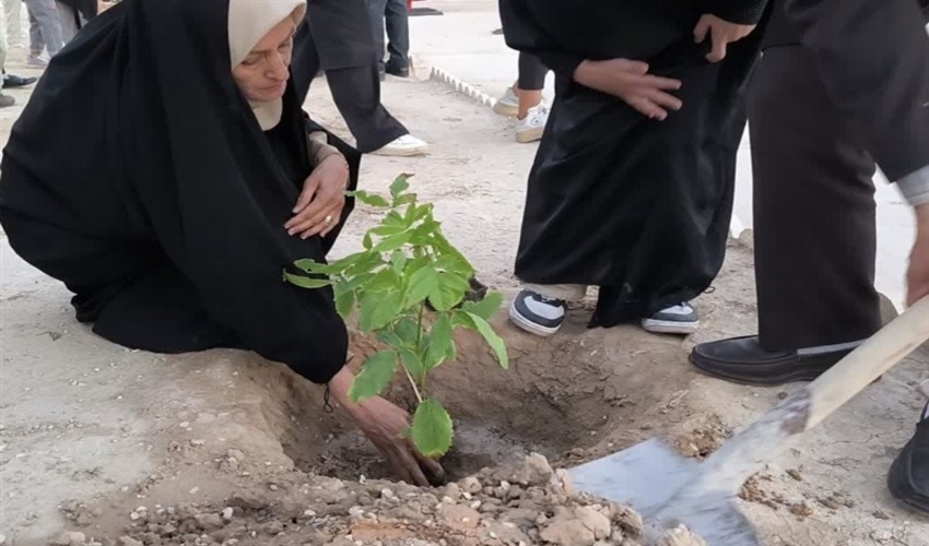 نشست مشترك رؤساى اداره منابع طبيعى و آبخيزدارى، بنياد مسكن و ثبت اسناد و املاك شهرستان بستك