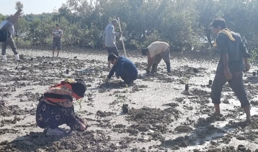 میز خدمت الکترونیکی اداره کل منابع طبیعی از اول آذر فعال می شود