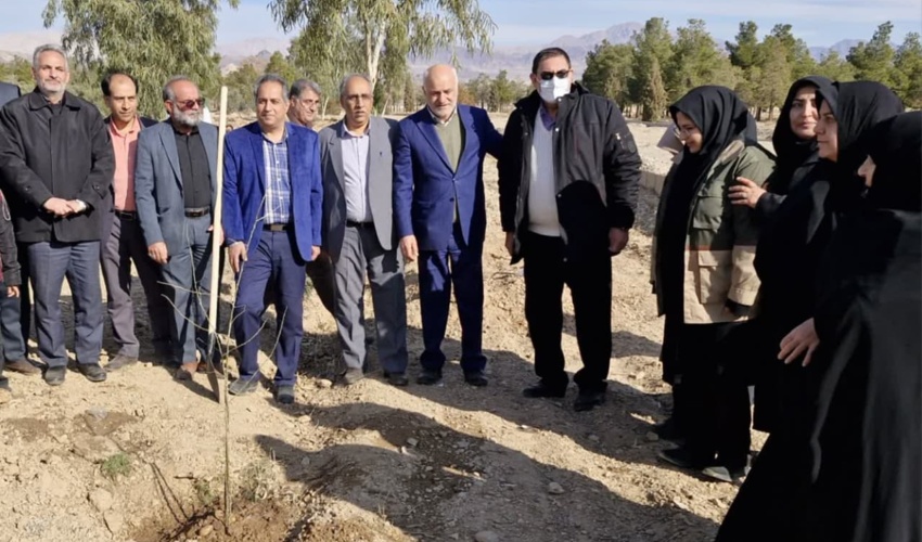 گلدهى درختان كنار در شهرستان بستك