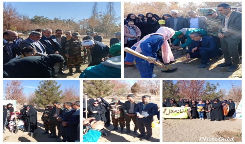 برداشت میوه کوهی بَنه یا کسودنگ از کوه‌های شهرستان بشاگرد آغاز شد.