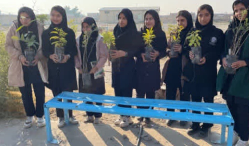 جنگلكارى با گونه بومى كنار در حاشيه شهر بستك