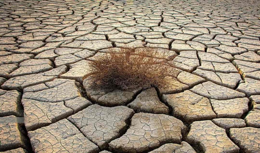 جلسه فرمانده یگان حفاظت منابع طبیعی شهرستان بندرعباس با دهیار روستای درگیر ایسین